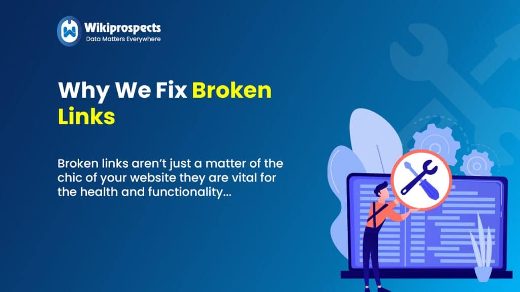 Why We Fix Broken Links